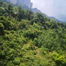 柳飘风的头像-紫洋·game·社区